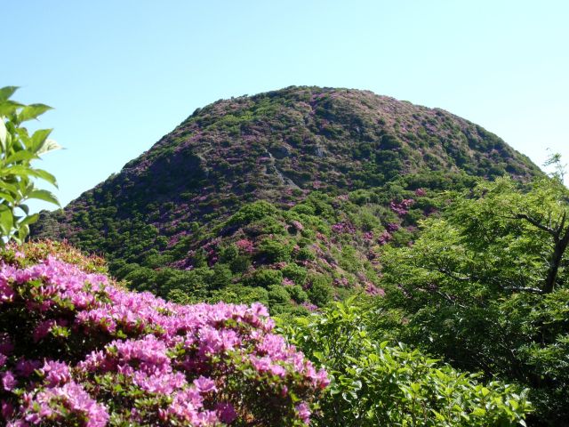 c0042869_19143986.jpg