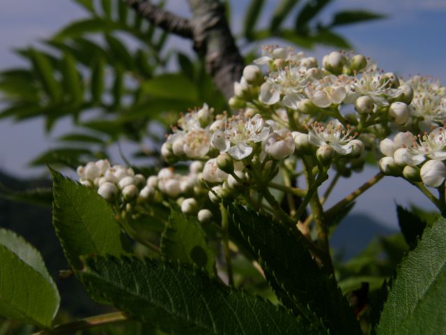 c0042869_19163840.jpg