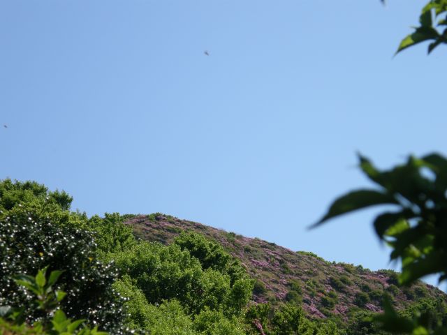 c0042869_1994757.jpg