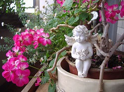 a0142083_15164236.jpg