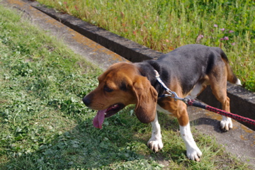 d0137083_9433772.jpg