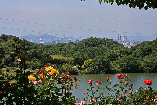 e0190885_1632569.jpg