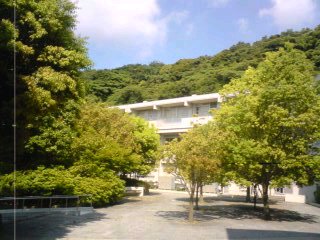 c0035386_16432851.jpg