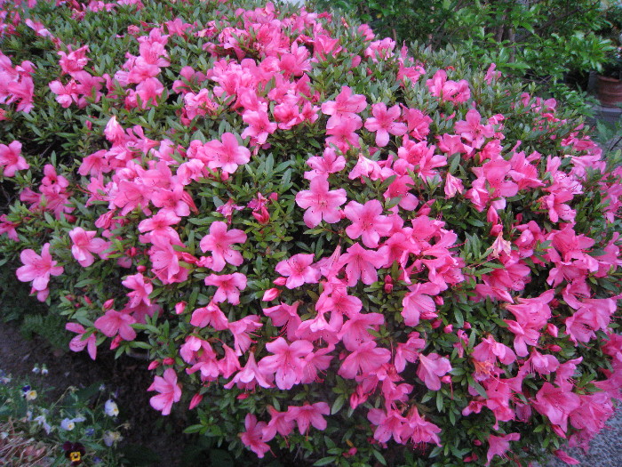 c0132387_11235850.jpg