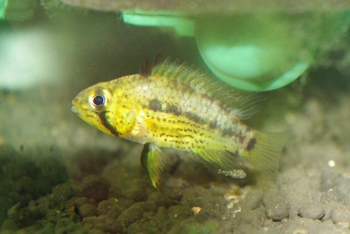c0074591_21415395.jpg