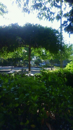 c0109891_73853.jpg