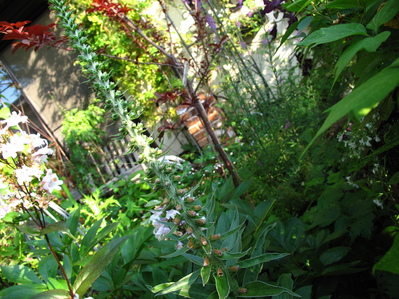 f0178897_1951962.jpg