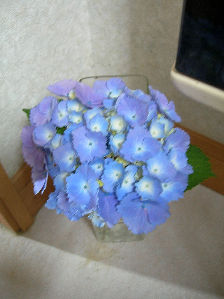c0220700_10471877.jpg