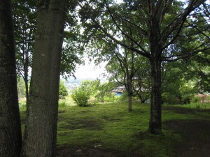 e0033301_21102630.jpg
