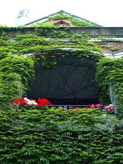 c0177502_2285650.jpg