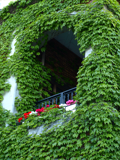 c0177502_2291122.jpg