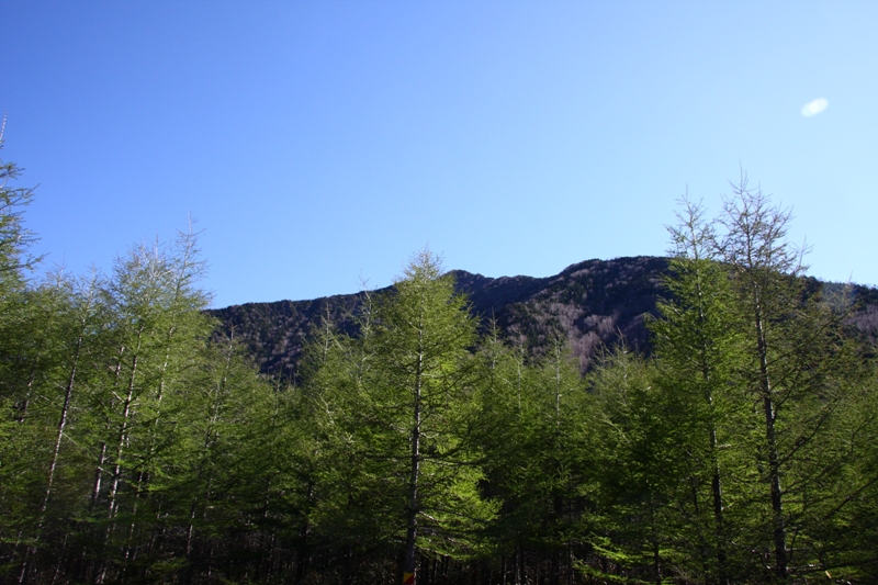 b0180907_2244183.jpg