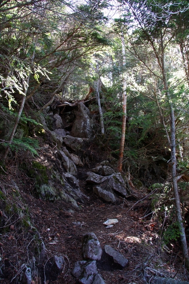 b0180907_225550.jpg