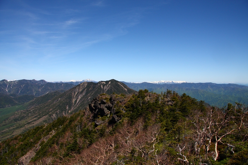 b0180907_2271579.jpg