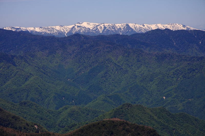 b0180907_235642.jpg