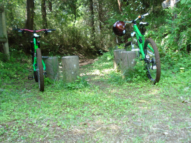 e0015108_13431982.jpg