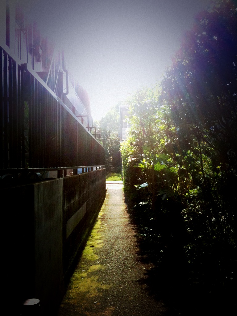 c0026612_7544391.jpg