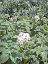 f0049813_1685366.jpg
