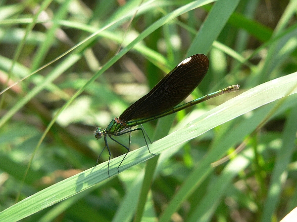 e0002314_20383548.jpg