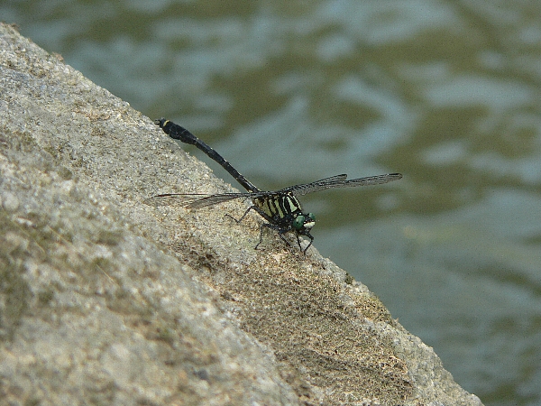 e0002314_2040473.jpg