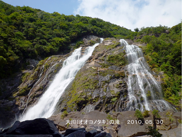 d0170615_19285615.jpg