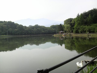 d0167422_9501948.jpg
