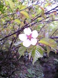 f0028123_20494672.jpg