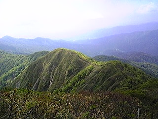 f0028123_2191521.jpg