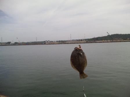 c0009224_1717765.jpg