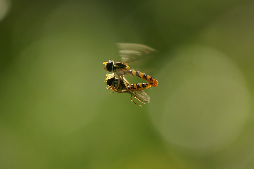 d0089024_9322742.jpg