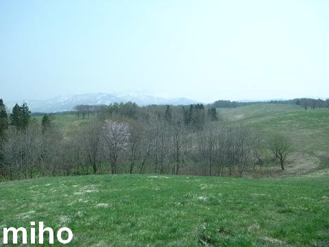 f0233326_2139432.jpg