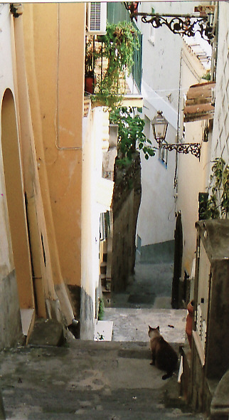 d0147727_80697.jpg