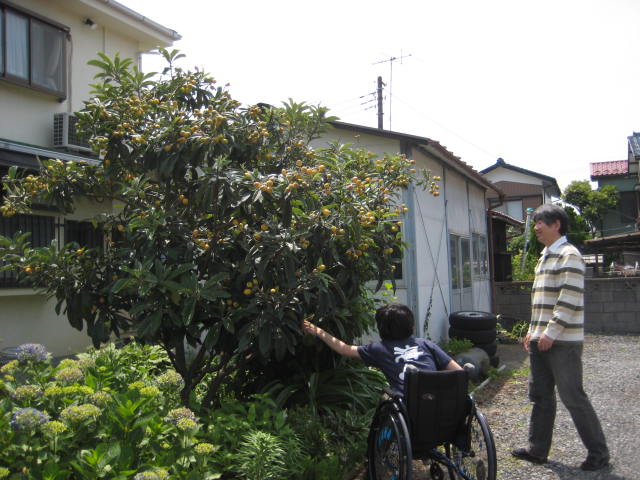e0166032_1829542.jpg