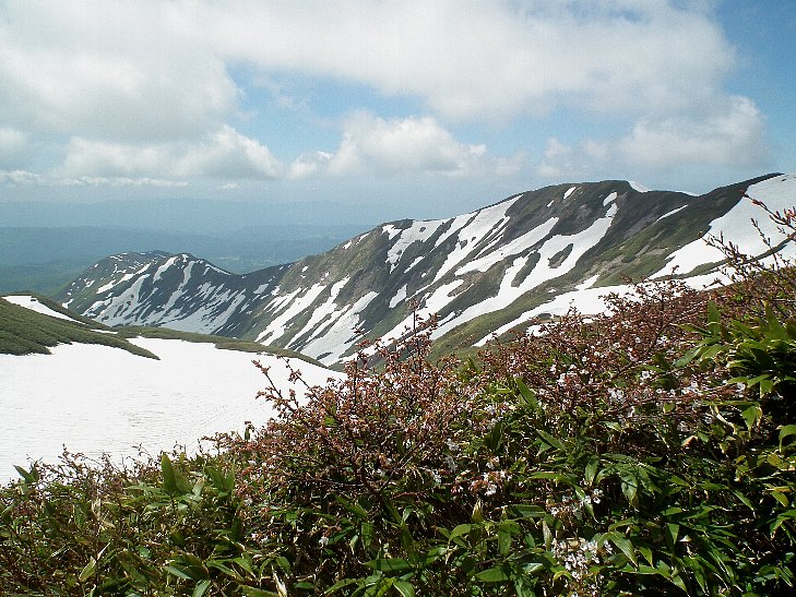 f0118332_23241067.jpg