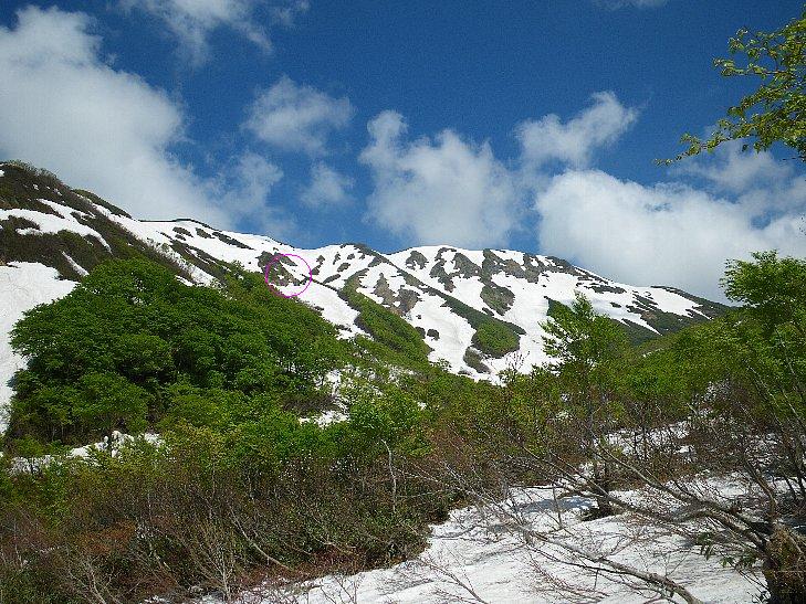 f0118332_2325016.jpg