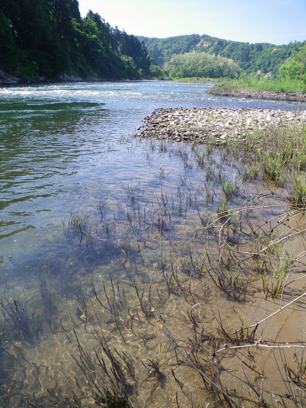 e0150433_141519.jpg