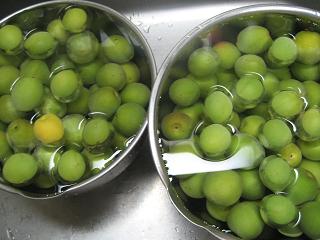 f0209734_1002734.jpg