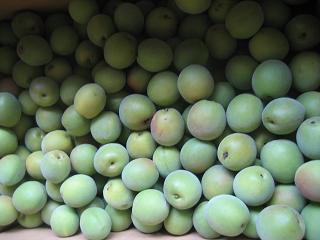 f0209734_9523330.jpg