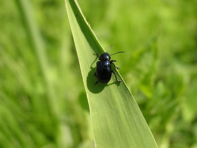 b0099538_1352454.jpg