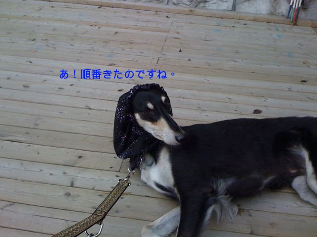 f0039538_19393056.jpg