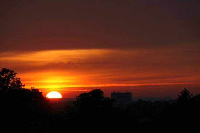 f0210340_6563074.jpg