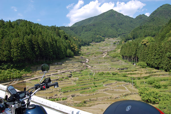 d0164443_2322588.jpg