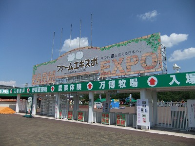 e0173645_914575.jpg