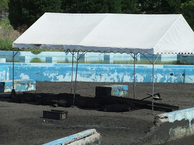 e0173645_9294717.jpg