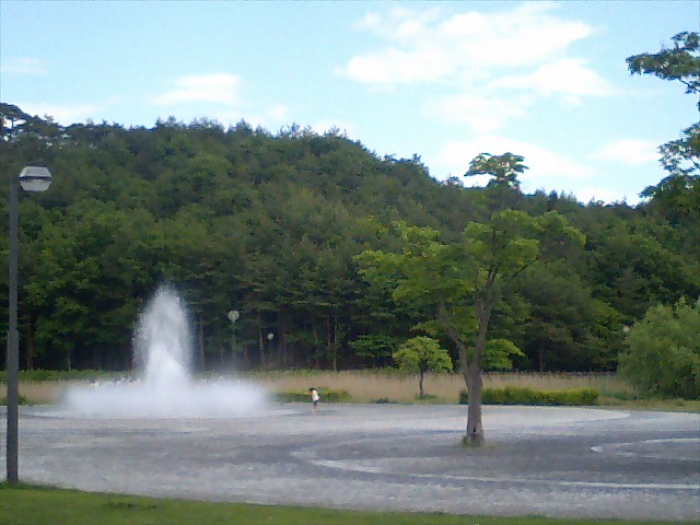 a0115346_13195695.jpg