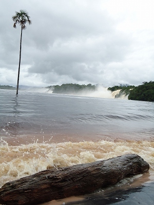d0160647_001950.jpg