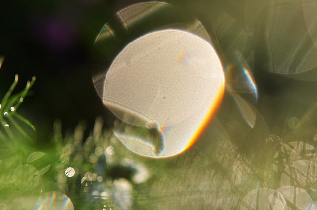 f0214648_14225424.jpg