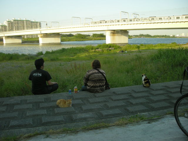 d0128252_123362.jpg