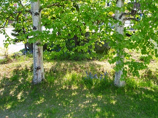e0004756_20305082.jpg