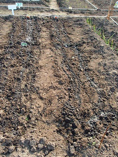 e0004756_2102342.jpg